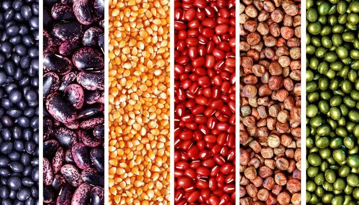 2021大家都开始囤粮的吗 2021年需要囤积粮食吗