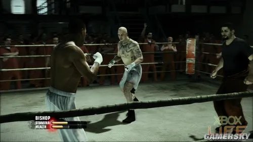《拳击之夜5：冠军（Fight Night Champion）》游戏介绍与点评