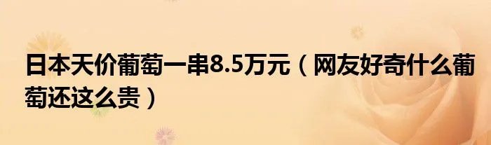 日本天价葡萄一串8.5万元（网友好奇什么葡萄还这么贵）