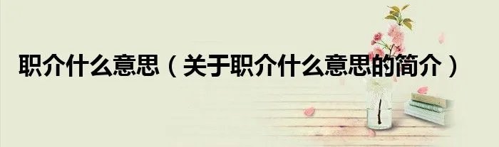 职介什么意思（关于职介什么意思的简介）