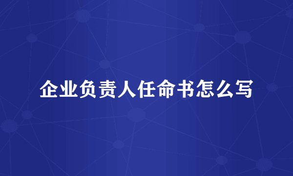 企业负责人任命书怎么写