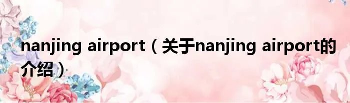 nanjing airport（关于nanjing airport的介绍）