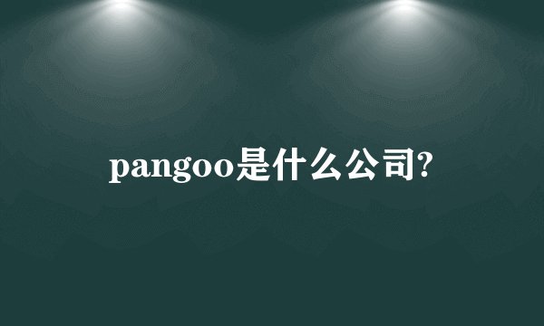 pangoo是什么公司?