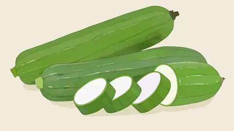 甜瓜属于凉性还是热性