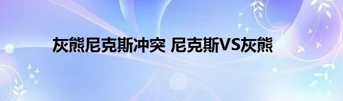 灰熊尼克斯冲突 尼克斯VS灰熊