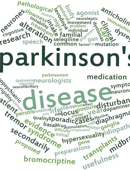 女生标准身材表出炉 达标没有那么容易