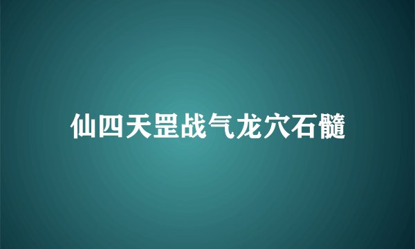 仙四天罡战气龙穴石髓