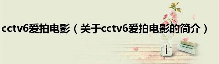 cctv6爱拍电影（关于cctv6爱拍电影的简介）