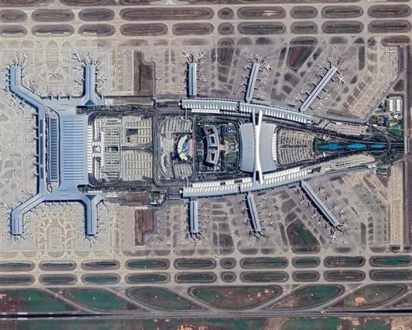 网友称广东最大的蟑螂是白云机场 官方亲自下场认领