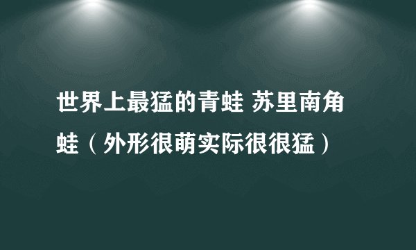 世界上最猛的青蛙 苏里南角蛙（外形很萌实际很很猛）