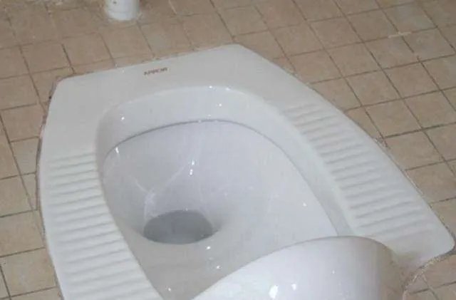 蹲厕堵了怎么办 小妙招轻松解决堵塞问题