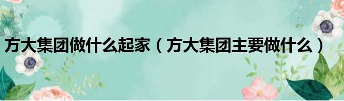 方大集团做什么起家（方大集团主要做什么）