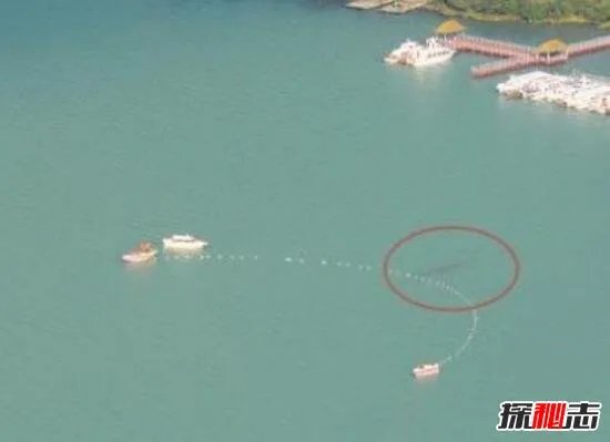 广东水怪之谜，湛江湖光岩惊现数十条巨型生物(疑似巨龙)