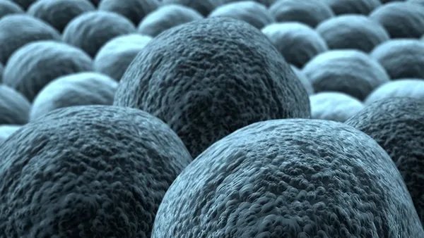 河北新增本土无症状229例 无症状感染者增多是否意味着病毒毒性减弱了