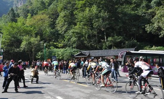 张家界坠亡女骑手曾说或是最后一次参赛，骑自行车要注意哪些安全问题？