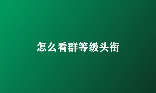 怎么看群等级头衔