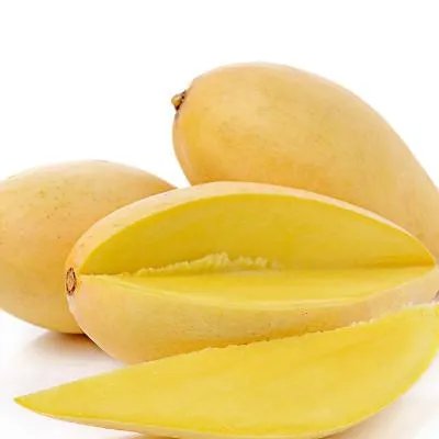 养生保健小知识