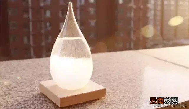 看这个神器的预言小工具！ 预言小帮手