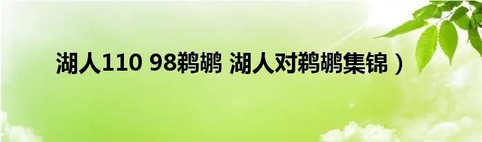 湖人110 98鹈鹕 湖人对鹈鹕集锦）