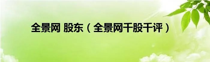 全景网 股东（全景网千股千评）