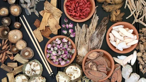 鼠曲草的功效与作用 都有哪些 鼠曲草哪些人不能吃