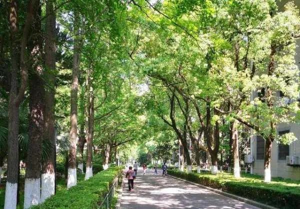 村民不想惊动大熊猫苦等1小时，如何评价村民的行为？