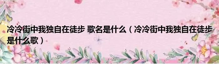 冷冷街中我独自在徒步 歌名是什么（冷冷街中我独自在徒步是什么歌）