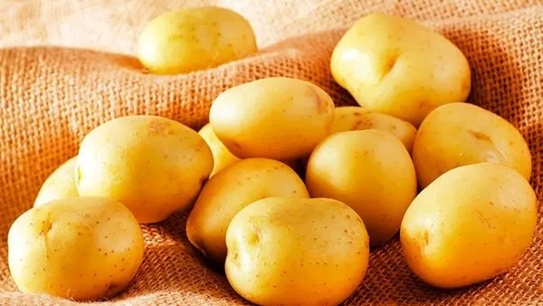 宝宝辅食食谱大全 宝宝辅食做法有哪些