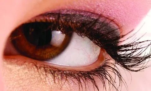 种眼睫毛需要多少钱