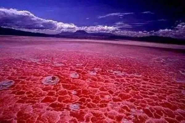 这是一个会变色的咸水湖，为何常饮此湖湖水会中毒失明？