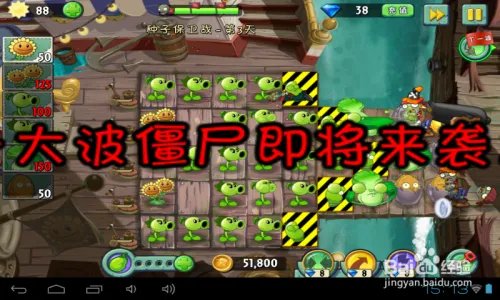 植物2海盗种子保卫战：第三天通关攻略