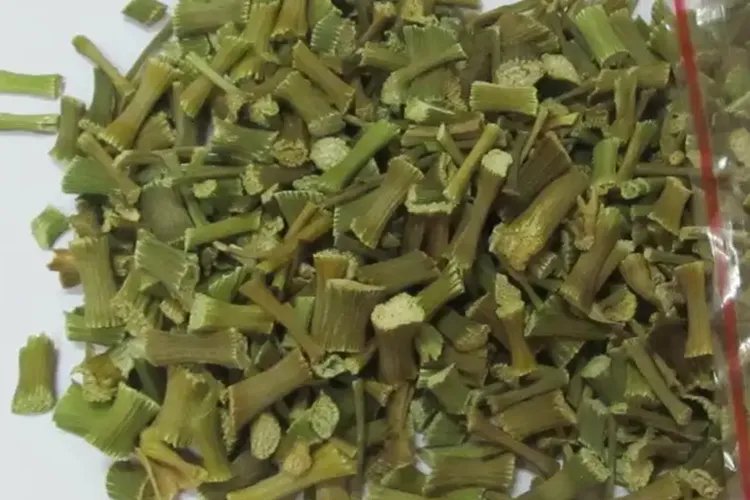 明日草图片及其功效