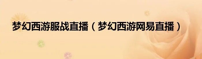 梦幻西游服战直播（梦幻西游网易直播）