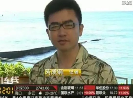 芮成钢事件真相 被查原因只因芮成钢过于贪心