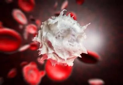 白细胞减少有什么危害 白细胞减少的四个危害要清楚