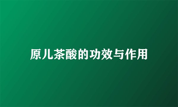原儿茶酸的功效与作用