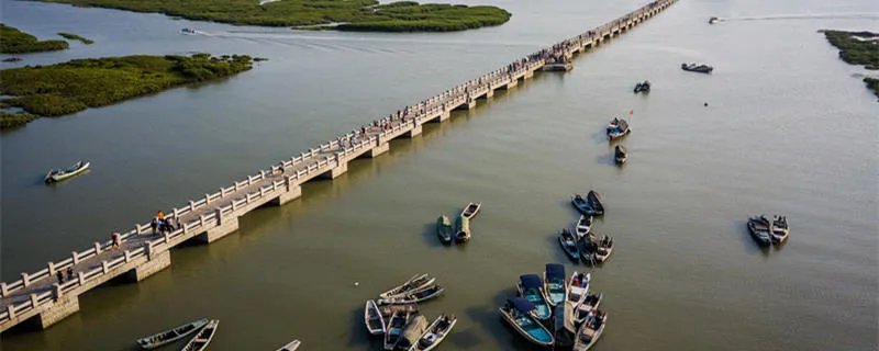 洛阳桥位于什么地方