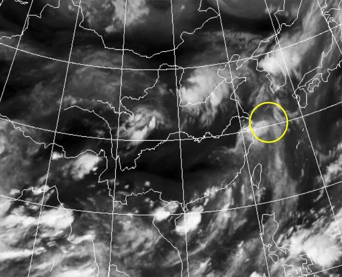 台风路径实时发布系统2020四号台风云图 台风黑格比最新卫星云图