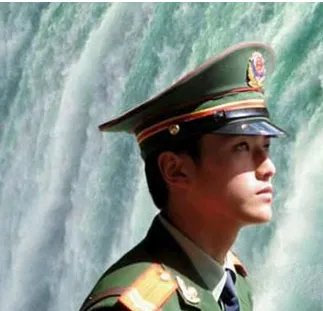 小白杨事件到底发生了什么