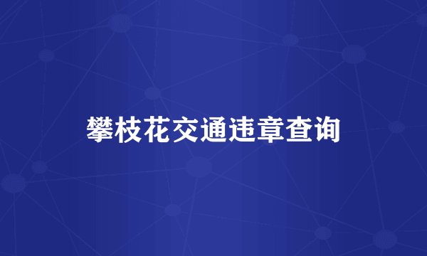 攀枝花交通违章查询