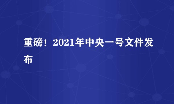 重磅！2021年中央一号文件发布