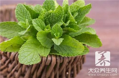 薄荷露功效与作用有哪些