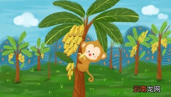 猕猴群休息时，一般由谁站岗 猕猴群休息时一般有谁站岗