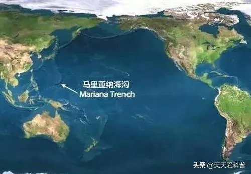 海洋生物资源最丰富的是哪个大洋？有什么依据？