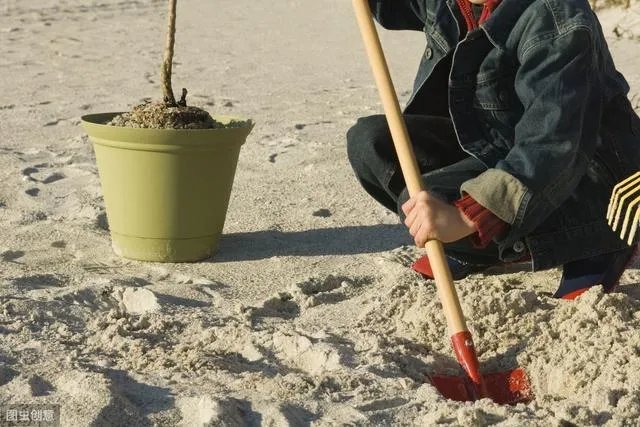 大旱三年是哪年