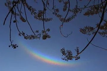 什么是椋平虹？