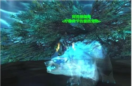 魔兽世界猎人稀有宠物有哪几只 tbc猎人稀有宠物一览