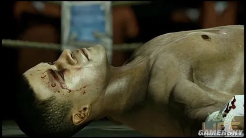 《拳击之夜5：冠军（Fight Night Champion）》游戏介绍与点评