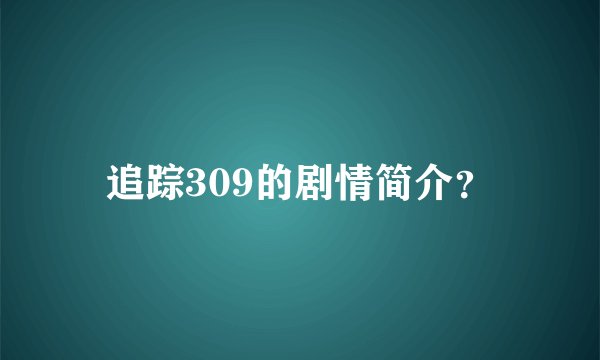 追踪309的剧情简介？