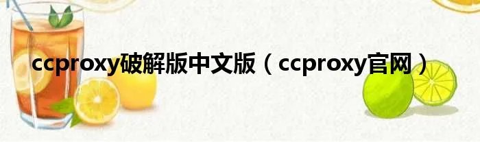 ccproxy破解版中文版（ccproxy官网）